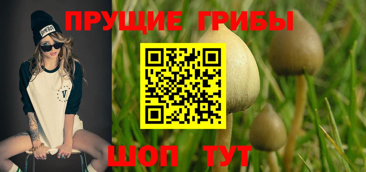 Галлюциногенные грибы Magic Shrooms  Вход с VPN  закладки  Псков 
